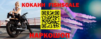 дмт Гай