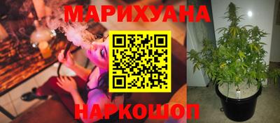 прущие крисы Волжск