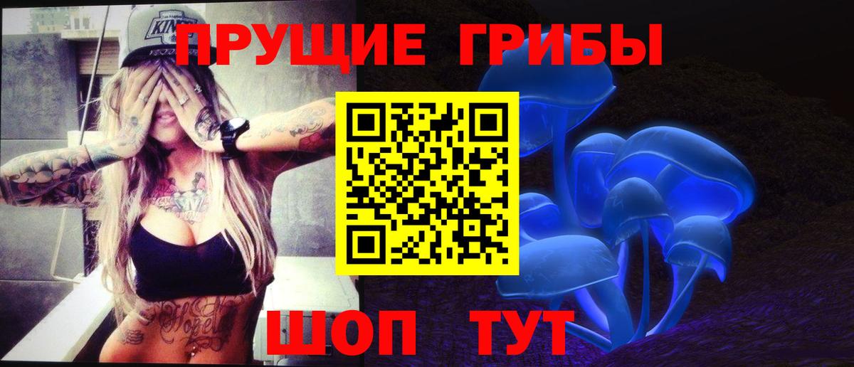 Псилоцибиновые грибы Psilocybine cubensis  Вход с VPN  Богданович 